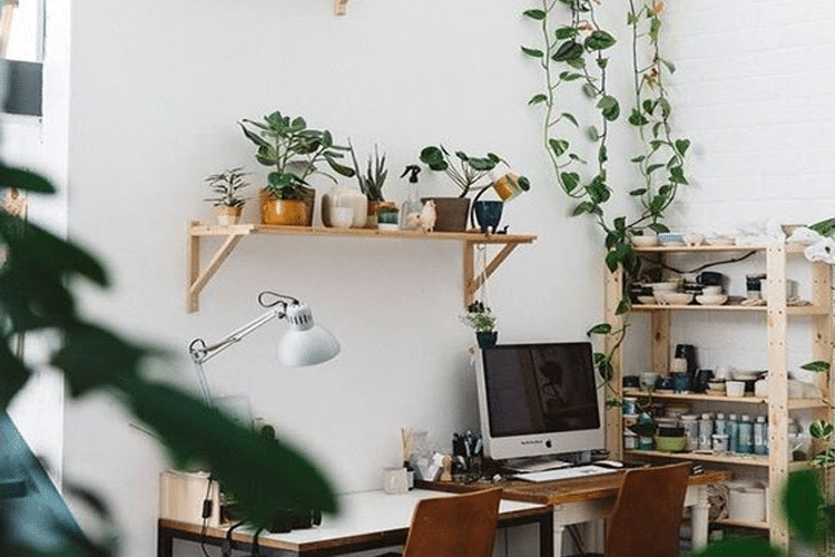 aménager un espace de travail avec des plantes